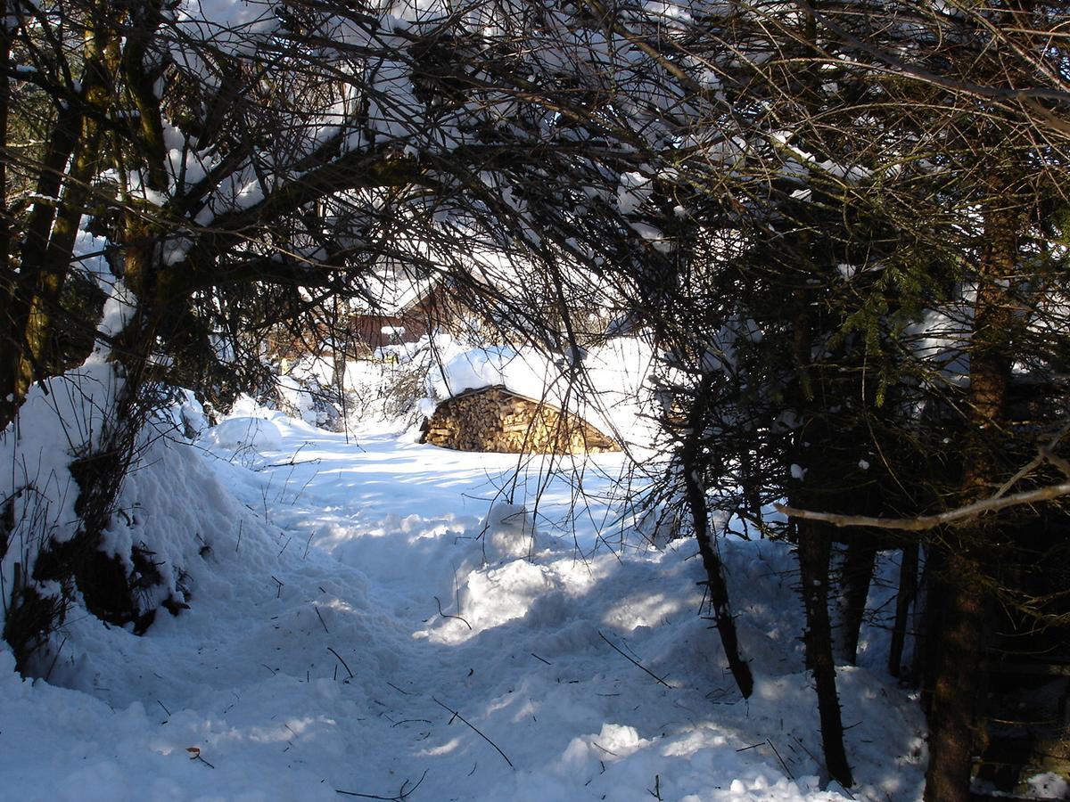 Welcome-Bienvenue-Добро Пожаловать Flachau Dış mekan fotoğraf